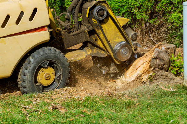 Lawn Maintenance Plans in Bull Valley, IL